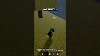 CRAZY Luck in Blox Fruits!  #bloxfruits