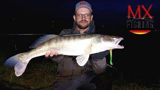 Auf Zander in den Niederlanden/ mit Fisch trotz schlechter Bedingungen!/ Zander fischen mit Gummi