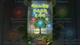 피크노제놀 효늘 5가지 #피크노제놀