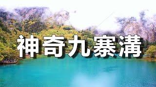 中國著名的九寨溝，九寨歸來不看水，一步一景，名不虛傳！【樂樂視界】