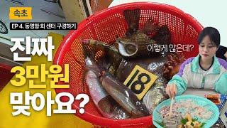 속초 동명항 오징어시장 구경! 회가 이만큼인데 3만원밖에 안해요? [속초 EP 4]