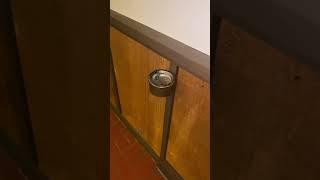 Unexpected Find in an Estate Home