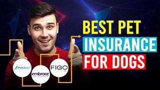 Best Pet Insurance For Dogs (Pets Best vs Embrace vs Figo)