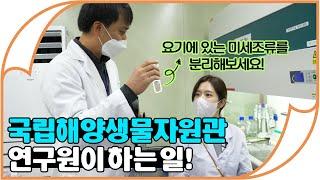 해양생물자원의 연구와 보존은 내가 책임진다! [국립해양생물자원관 연구원 1화]