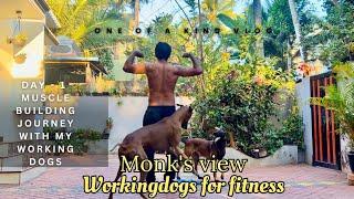 Day-1 of my muscle building journey with my dogs - vlog