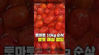 이거보고 진짜 10kg 사면 안 돼요 #토마토매실절임