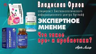 Экспертное мнение  Что такое пре  и пробиотики
