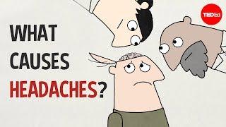 What causes headaches? - Dan Kwartler