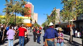 Pura alegria y buen ambiente con MUSICAL MILAGRO en la merino.