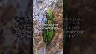Frases que te inspiran a seguir adelante #frasesmotivadoras #reflexion #pensamientos #inspiracion
