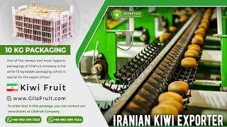 Getting to know the white packaging of 10 kg of Hayward kiwi