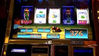 New Goldfish Transmissive Mermaids Wonders Bonus Slot Win