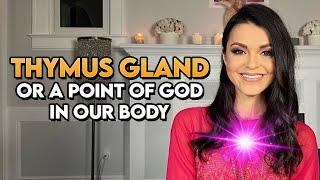 Thymus Gland or a Point of God in Our Body and its Spiritual Powers