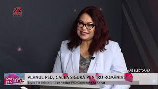 Perspective Politice - Felix Stroe, Liviu Brăiloiu, candidati PSD Senat_Alegeri Parlamentare 2024