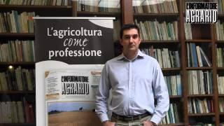 Digestato: opportunità e vantaggi negli impieghi in agricoltura - aspetti agronomici