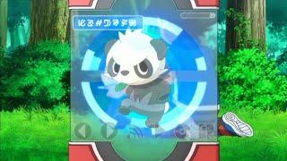 Pancham Pokédex Entry..wmv