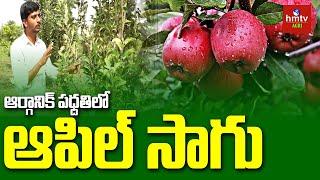 Organic Apple Farming: తెలంగాణలో ఆర్గానిక్ పధ్దతిలో ఆపిల్ సాగు | hmtv Agri