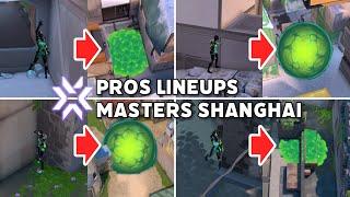 All Viper lineups used by pros in VCT 2024 Masters Shanghai【 VALORANT 】