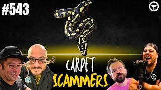 IS ONE MAN SCAMMING THE ENTIRE CARPET PYTHON COMMUNITY? | TRAP TALK W/ MJ LIVE