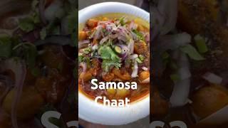 Samosa Chaat | Kolkata Streetfood infront of Birla Planetarium #shorts #samosachaat