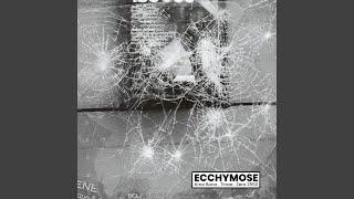 Ecchymose