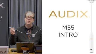 Audix: Introduction to the M55 Adjustable Hanging Ceiling Microphone