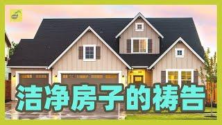 为你的住所祷告 | 破除咒诅 | 蒙福人生 | 神掌权【祷告种子】早晨祷告 《洁净房子的祷告》