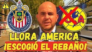 ¡BOMBAZO! ¡CHIVAS SE ADELANTA Y LE ROBA EL REFUERZO AL AMÉRICA, MIRA! NOTICIAS DE CHIVAS HOY