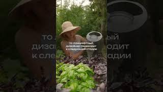 Мечтаешь освоить ландшафтный дизайн, не знаешь с чего начать!?Школа ландшафтного дизайна ВИД поможет