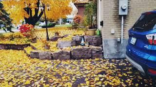 Spring autumn season in Ontario, Canada fall season beauty, Vancouver spring