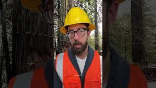 tree suddenly changed direction at the last second  #cutdowntrees #satisfying #chainsaw #ice #snow