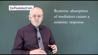 Inflammation 1, Cardinal Features of Inflammation