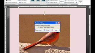 WORD 2007    28-Resim Ekleme, Silme Ve Dosya Boyutunu Küçültme