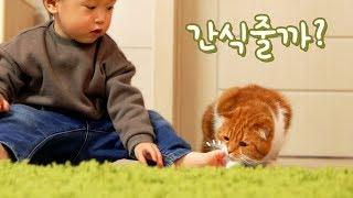 아기집사가 고양이들 간식을 주었어요! 귀여움 뿜뿜!