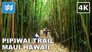 [4K] Pipiwai Trail Hike (Bamboo Forest) in Kipahulu, Maui Hawaii - Relaxing Scenic Nature Walk