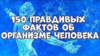 150 ПРАВДИВЫХ ФАКТОВ ОБ ОРГАНИЗМЕ ЧЕЛОВЕКА