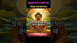 인생고민 부처님의 지혜로 듣다-죽음과 이별 마무리편- 제2화 장례,유언등 현실적인 준비가 불안할때 #부처님말씀 #명언 #자기수행  #부처님가르침  #긍정적마인드 #인생조언