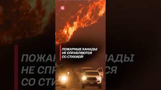 Пожарные Канады не справляются со стихией! #канада #пожар #чп #катастрофа #катаклизм #бедствие