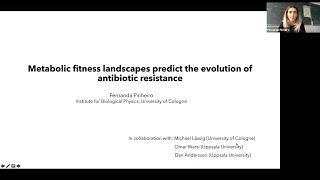 Metabolic fitness landscapes predict the evolution of antibiotic resistance