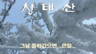 그날의 참상이 이 산보다 심한 데가 있을까? 그리고 겨울왕국!!  ｜ 청태산 ｜ 청태산자연휴양림 ｜