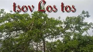 Creepy Story - tsov Los coj phauj nraj xwm. 16/2/2020