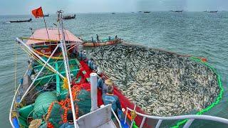 Amazing Billion's Of Sardine Fish Caught In Purse Seine Fishing Method | EP:01