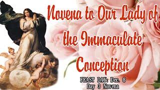 Our Lady of the Immaculate Conception Novena : Day 3 | Daughter and Instrument of God