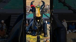 The First Look of 21-ft Nandi at Sadhguru Sannidhi, Bengaluru