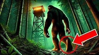 3 TRUE Terrifying PARK RANGER and BIGFOOT Horror Stories | Scary Stories SASQUATCH ATTACK  | Vol69