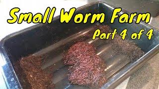 Sifting the Breeder Bin: The Inner Workings of a Small Worm Farm  Part 4 of 4   Vermiculture Compost