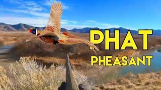 INSANE Pheasant HUNTING CATCH CLEAN COOK