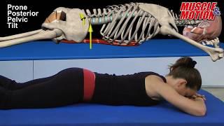 Posterior Pelvic Tilt on Belly