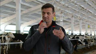 Эффективная уборка навоза: Обзор скрепера Beerepoot от TOPIX GROUP!