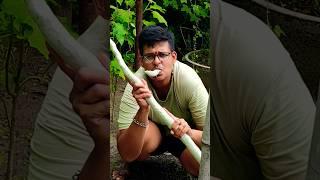 Vignesh loves eating snake gourd raw from the farm. #vigneshkitchen